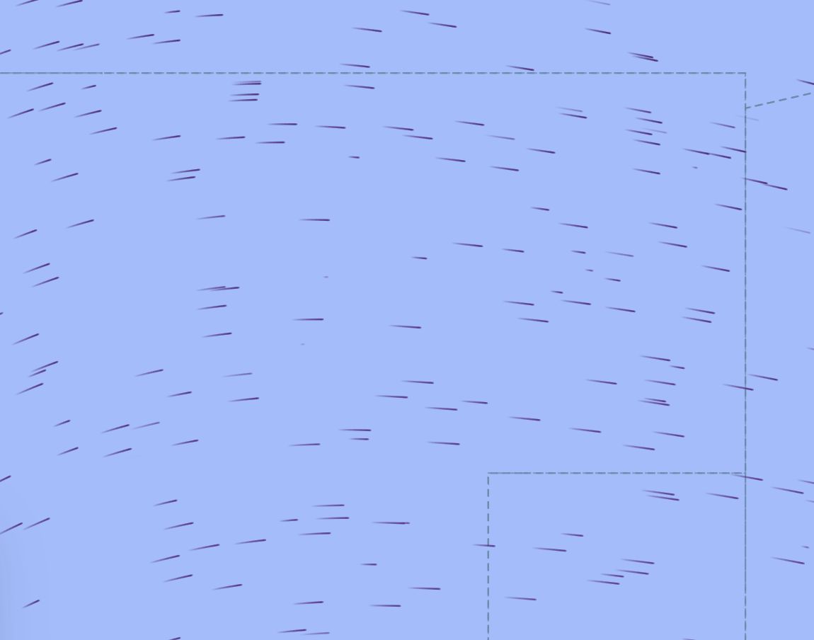 Grid of wind barbs at flight level.